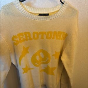 Serotonin Graphic Sweater
